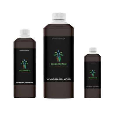 Délice Miracle (mélasse verte)